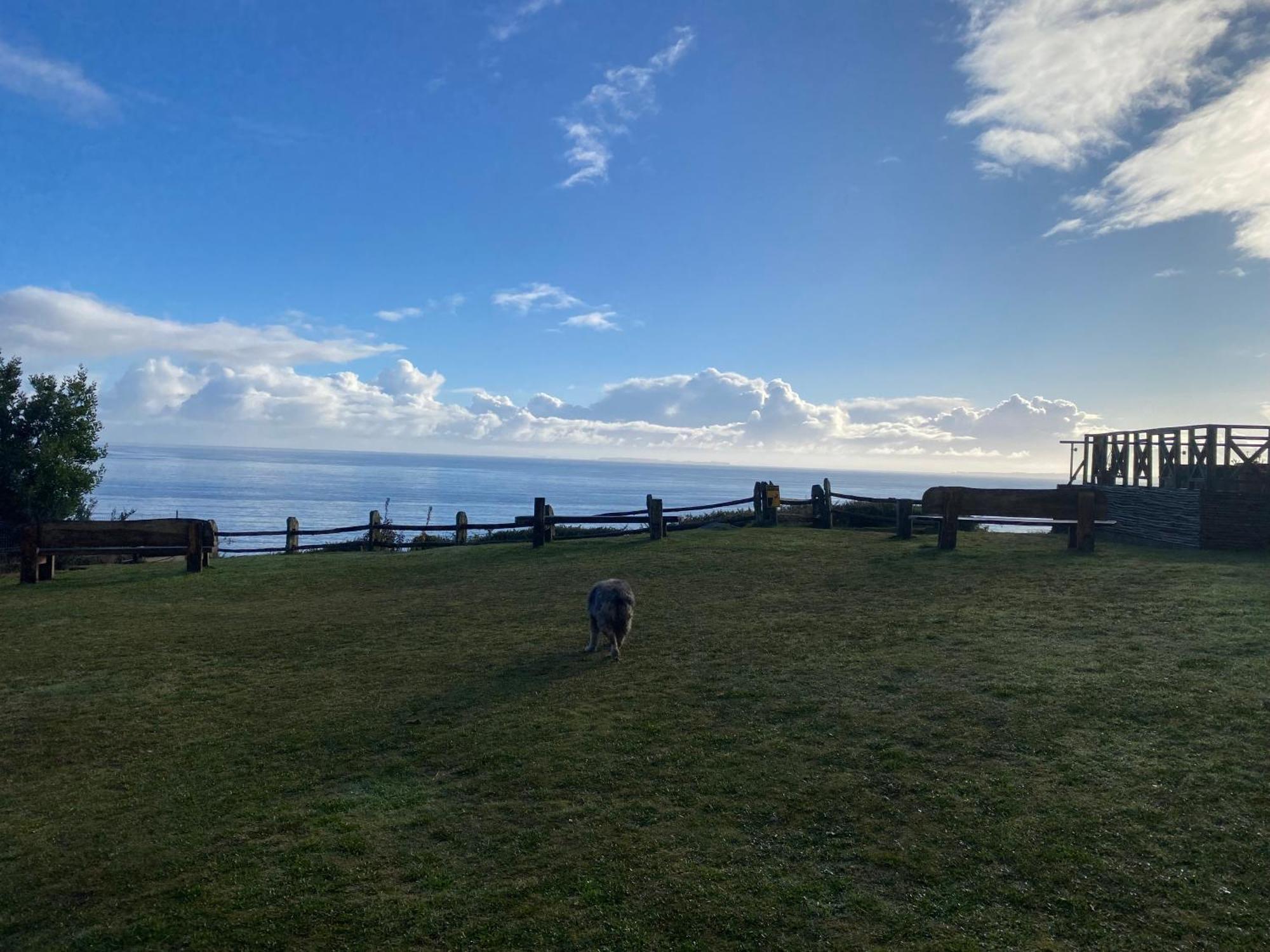Hotel Faros Del Sur Ancud Zewnętrze zdjęcie